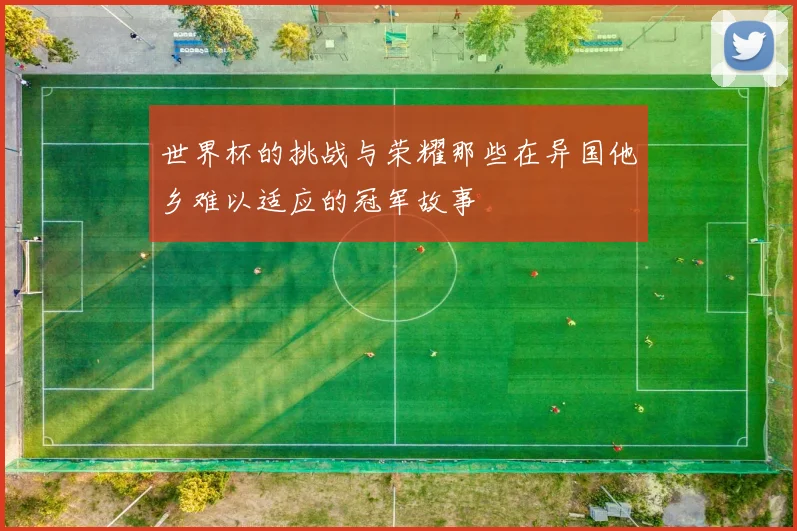 世界杯的挑战与荣耀那些在异国他乡难以适应的冠军故事